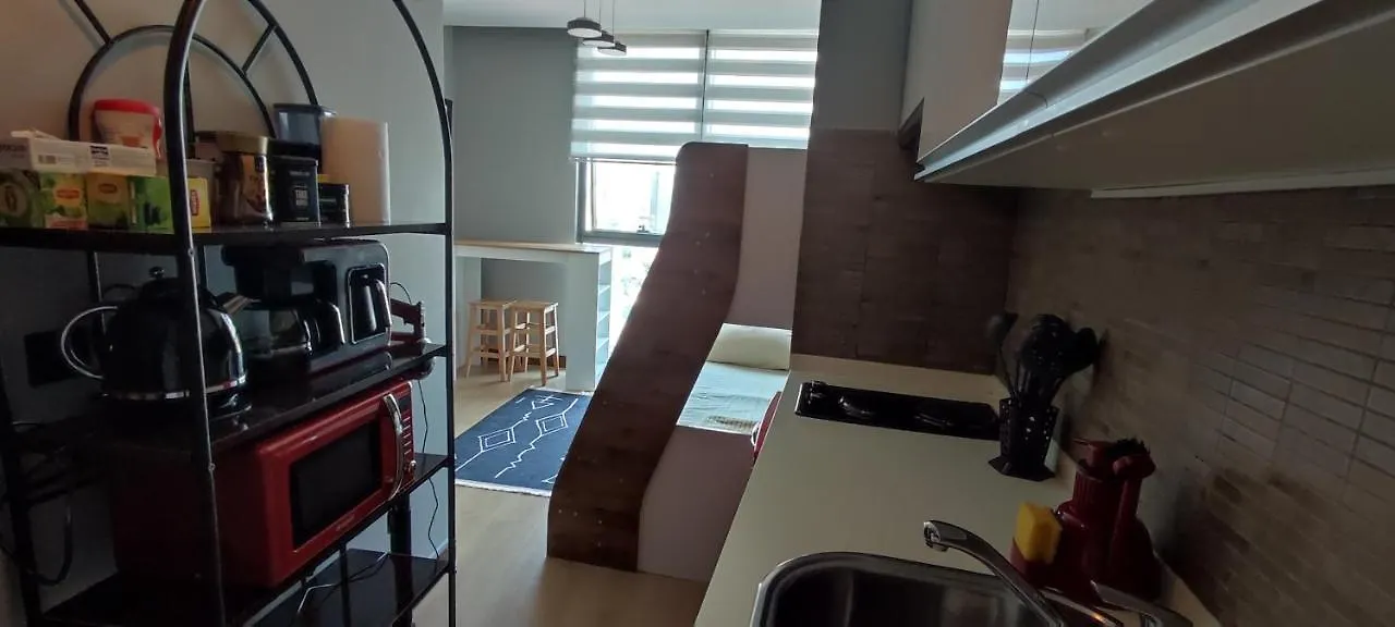 Studyo At High Flat Apartment Istanbul 0*,